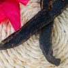 VANILLE POMPONA NOIRE (Mexique), GRADE A, 16-19 cm
