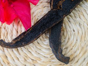VANILLE  NOIRE TSY TAITRY (type Tahitienne), PREMIUM GRADE, 18cm +